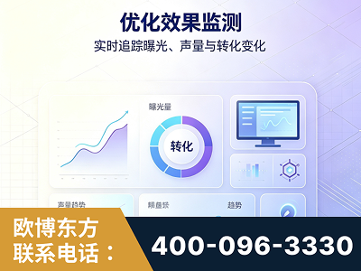 上海-优化效果监测