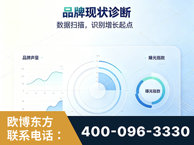 上海-品牌现状诊断